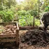 Sampah Sisa Makanan Hasilkan Emisi, KLH Ungkap Cara Mengolahnya