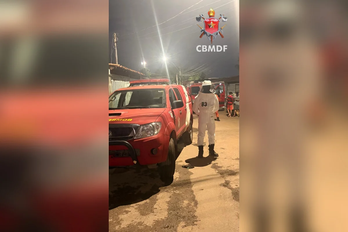 Enxame de abelhas invade residência em Taguatinga e mobiliza bombeiros