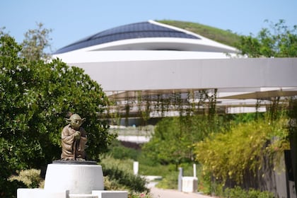 O jogador de hóquei canadense continua conquistando campeonatos em todo o mundo, décadas após deixar o lar