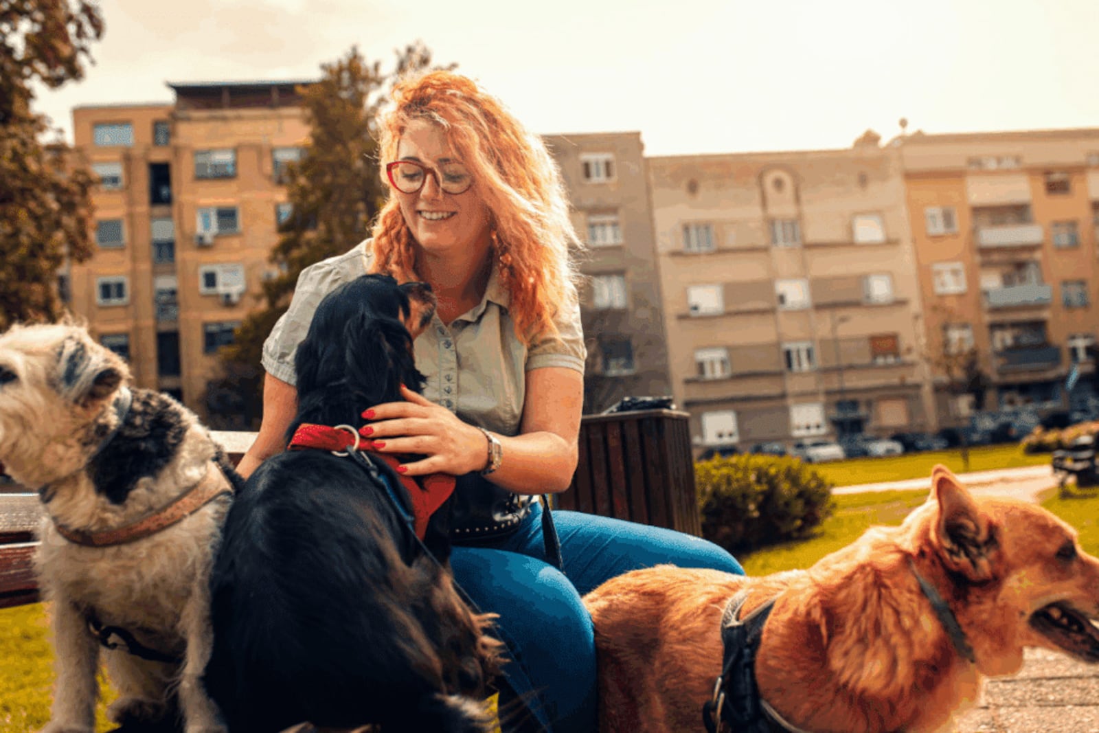 O passeador deve ter atenção constante com os pets durante os passeios Imagem: Zoran Zeremski | Shutterstock