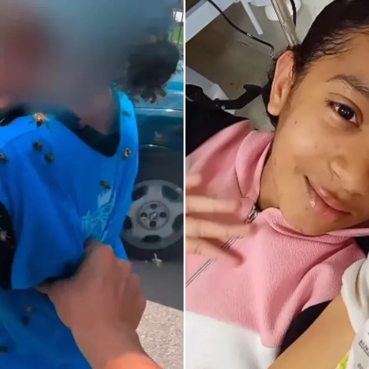 Calor aumenta risco de ataques de abelhas; MG teve 201 vítimas desde 2024