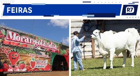 Henrique e Juliano, Xande de Pilares e Revelação: confira os eventos do fim de semana no DF