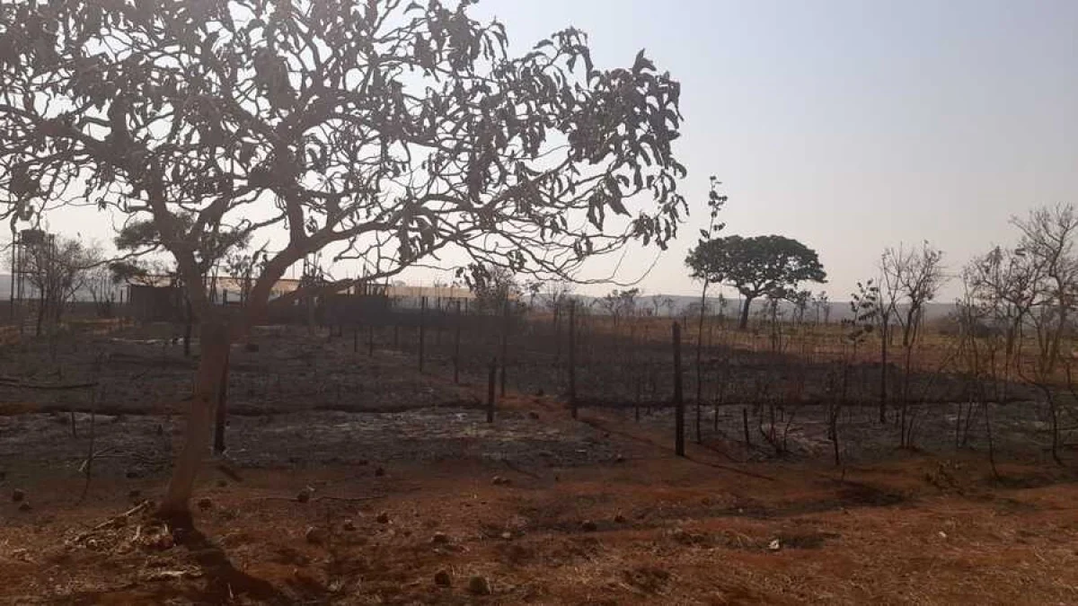 Entorno: Cidade Ocidental decreta situação de emergência devido à estiagem