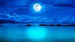 Lua cheia: esqueça o lobisomem e cuidado com os tubarões! Perigo aumenta para os banhistas na atual fase lunar?