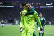 O Palmeiras está classificado para a final da Libertadores
