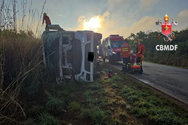 Caminhão com 48 bovinos tomba na DF-250 e motorista fica ferido
