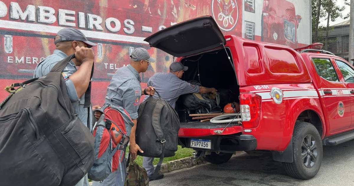 São Paulo envia 30 profissionais e 11 mil litros de retardante para combater incêndios no Amazonas