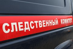 Фото: Дмитрий Ягодкин / ТАСС